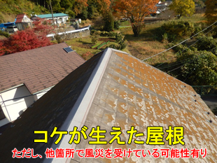 火災保険で修理できたコケが生えた屋根