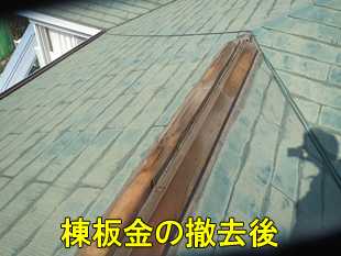 4棟板金撤去後310