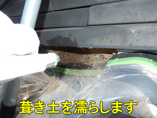 4葺き土を濡らす