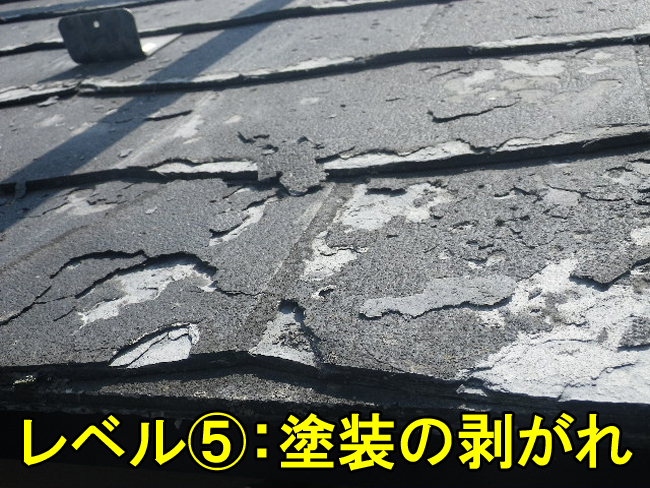 5スレート塗装剥がれ