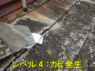 5スレートコーキング