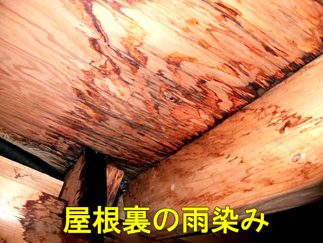 10屋根裏染み