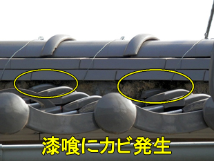 10漆喰黒カビ小