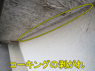 11コーキング剥がれ