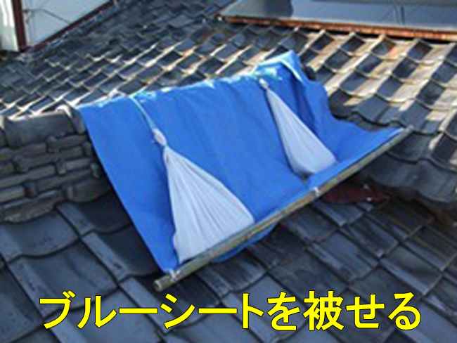 14ブルーシート