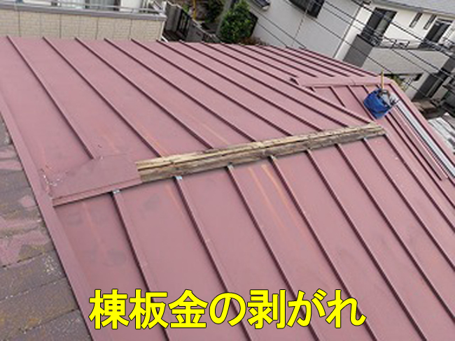 20トタン屋根剥がれ1