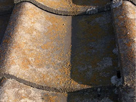 24セメント塗装前