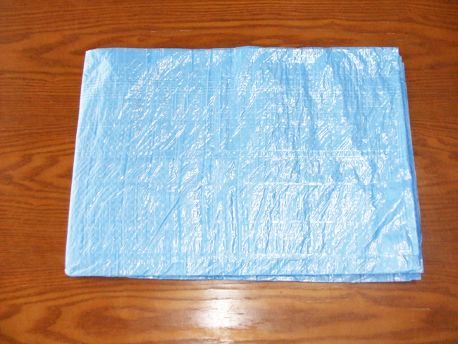 16ブルーシート