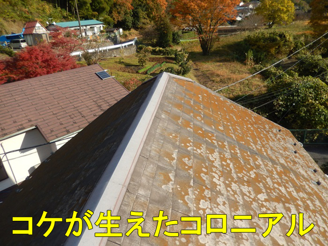 33コロニアル割れ