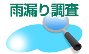 雨漏り調査