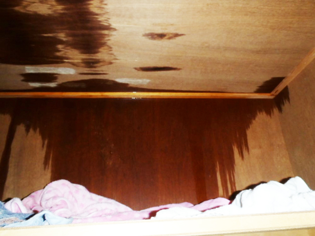 43屋根構造:雨漏り2