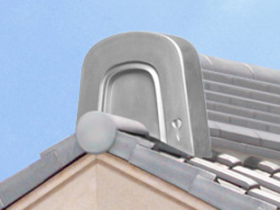 マサヨシカエズ