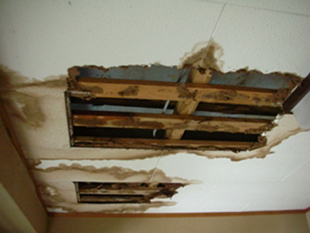 43屋根構造:雨漏り1