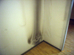 経年劣化:冷蔵庫焼け