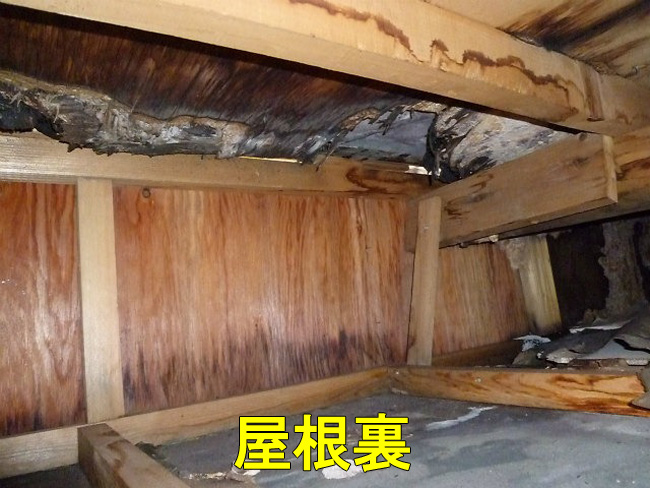 屋根点検：屋根裏