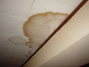 台風火災保険:雨漏り1