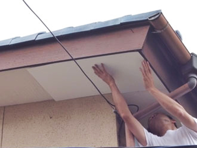 軒天材:カバー1