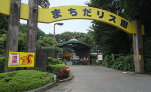 町田リス園