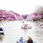 井の頭恩賜公園