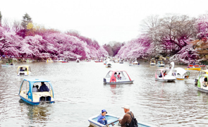 井の頭恩賜公園