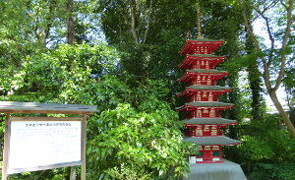 お鷹の道湧水園