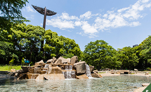 平塚市総合公園