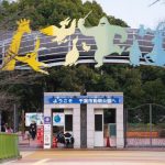 千葉市動物公園ふれあい動物の里