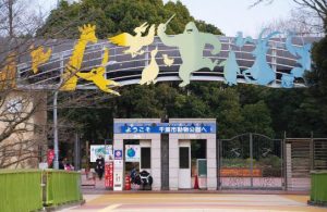 千葉市動物公園ふれあい動物の里