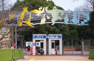 千葉市動物公園ふれあい動物の里