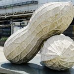 落花生モニュメント